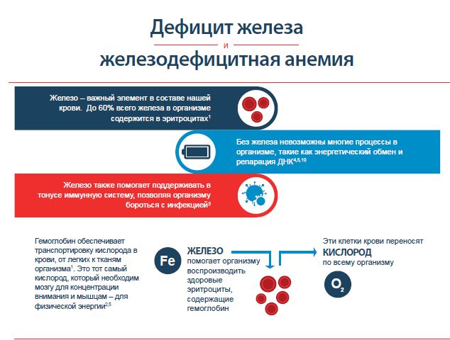 Дефицит Железа и Железодефицитная Анемия